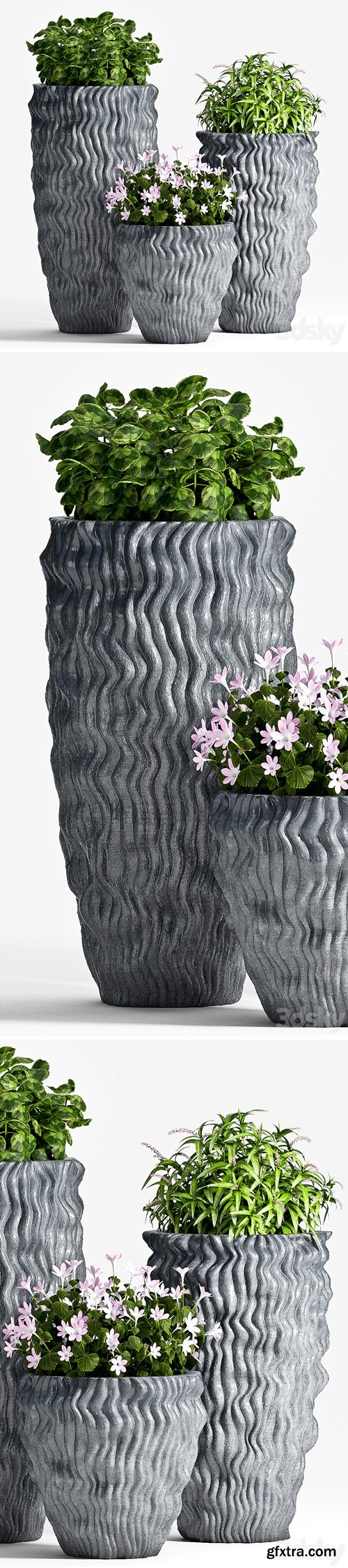 PLANT SET -64 PLANT SET -64