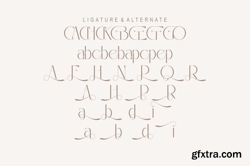 Neisha Font C3XDHU5 Neisha Font C3XDHU5