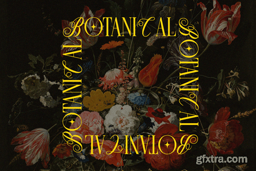 Last Royal - Elegant Luxury Font 5XB3FXW Last Royal - Elegant Luxury Font 5XB3FXW