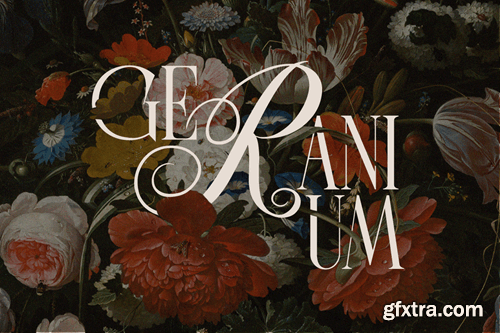 Last Royal - Elegant Luxury Font 5XB3FXW Last Royal - Elegant Luxury Font 5XB3FXW