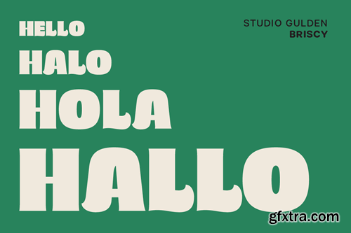 Briscy Display Font F7UMY56 Briscy Display Font F7UMY56