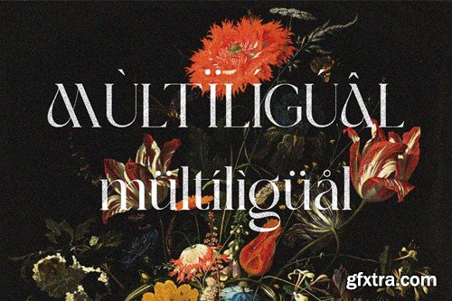 Boshek - Modern Serif Font DKDLG4C Boshek - Modern Serif Font DKDLG4C