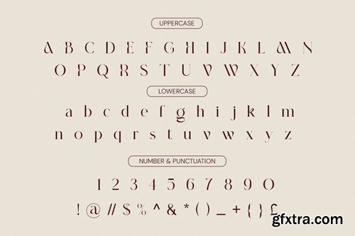 Boshek - Modern Serif Font DKDLG4C Boshek - Modern Serif Font DKDLG4C