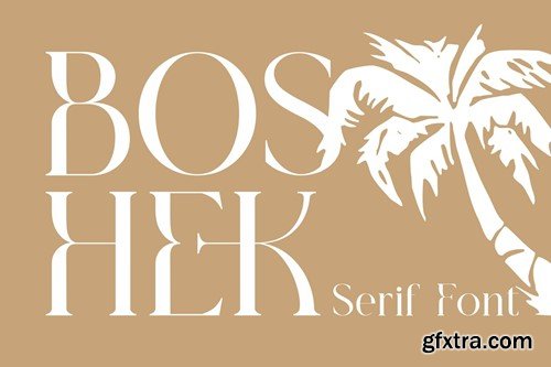 Boshek - Modern Serif Font DKDLG4C Boshek - Modern Serif Font DKDLG4C