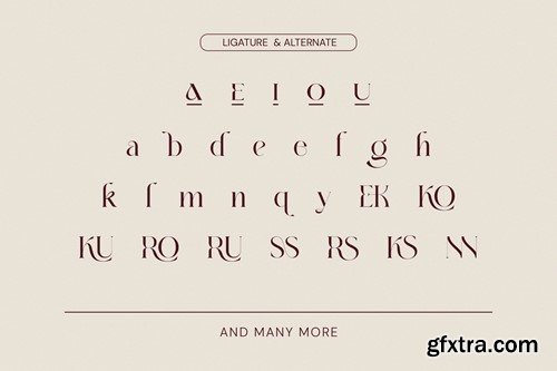 Boshek - Modern Serif Font DKDLG4C Boshek - Modern Serif Font DKDLG4C