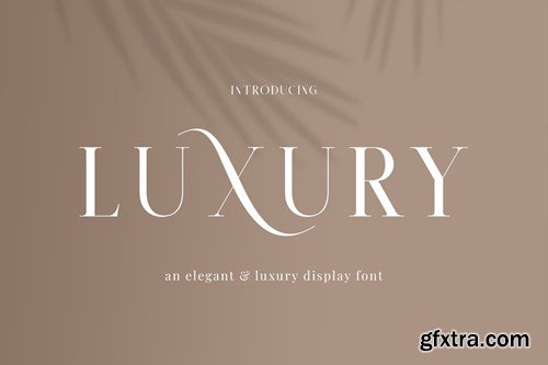 Qharo - Elegant Serif Font VZ2SKB3 Qharo - Elegant Serif Font VZ2SKB3