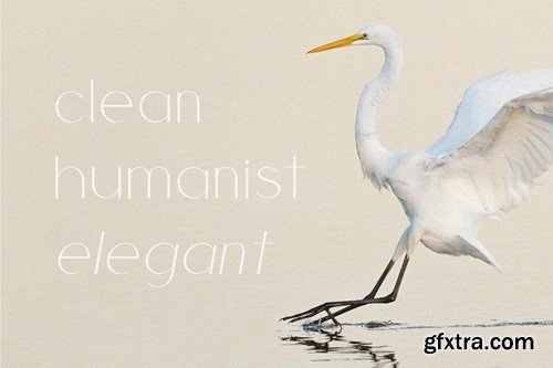 Cherla - Sans Serif Font L7KXHV9 Cherla - Sans Serif Font L7KXHV9