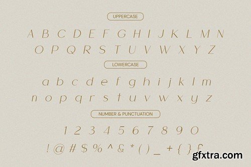 Cherla - Sans Serif Font L7KXHV9 Cherla - Sans Serif Font L7KXHV9