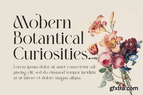 Boshek - Modern Serif Font DKDLG4C Boshek - Modern Serif Font DKDLG4C