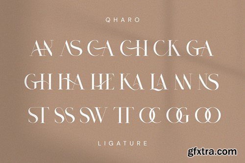 Qharo - Elegant Serif Font VZ2SKB3 Qharo - Elegant Serif Font VZ2SKB3