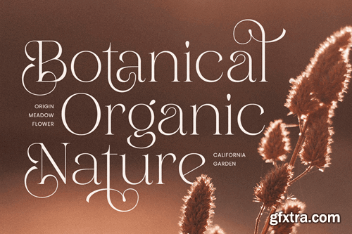 Madalino - Modern Beauty Luxury Font WVP8VHF