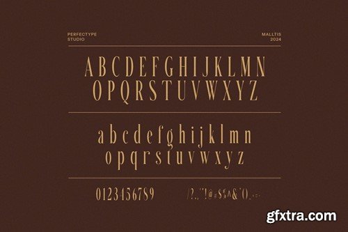 Malltis Stylish Serif Font 9KVD7Q5
