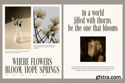 Glafins Stylish Serif Font SHPADGK