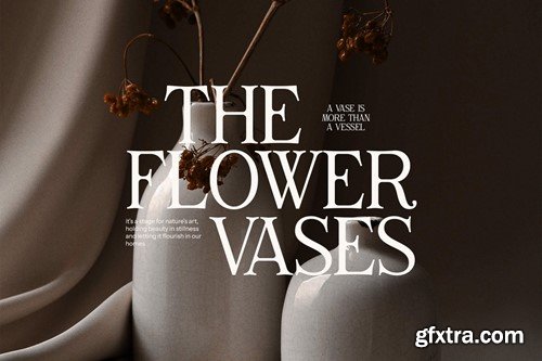 Gilvan Modern Serif Font QUHS2PV