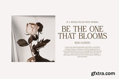 Gilvan Modern Serif Font QUHS2PV