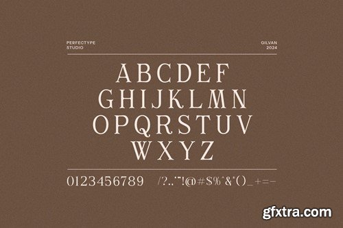 Gilvan Modern Serif Font QUHS2PV