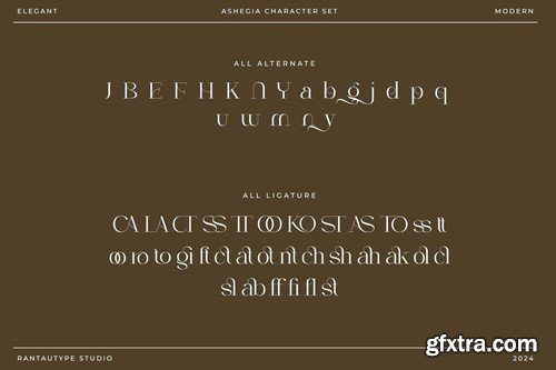 Ashegia Modern Serif Font Z9MMEDT