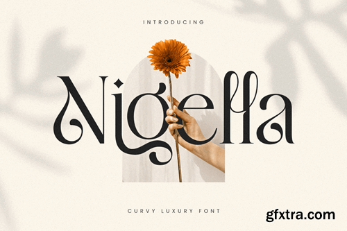 Nigella - Curvy Luxury Font KBZUWYB