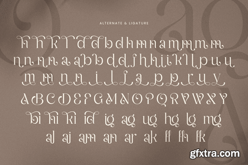 Nigella - Curvy Luxury Font KBZUWYB