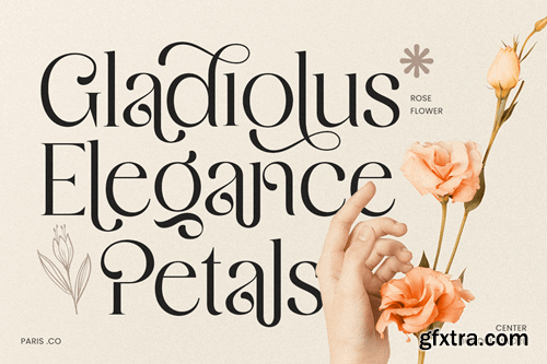 Nigella - Curvy Luxury Font KBZUWYB