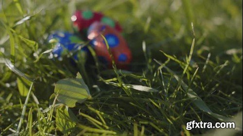 Videohive Easter Egg 55459938 Videohive Easter Egg 55459938