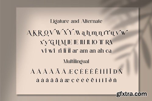 Qianta || Ligature Serif Font JJ3PJYK Qianta || Ligature Serif Font JJ3PJYK