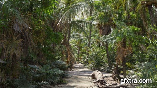 Maxtree - Plant Models Vol 148 - GrowFX 1.99+Mesh, Individual Maxtree - Plant Models Vol 148 - GrowFX 1.99+Mesh, Individual