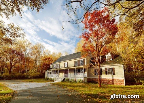 Maxtree - Plant Models Vol 146 - GrowFX 1.99+Mesh, Individual Maxtree - Plant Models Vol 146 - GrowFX 1.99+Mesh, Individual