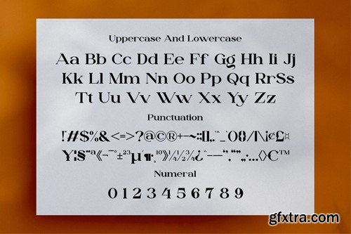 Dailen Style || Serif Font P2439QY