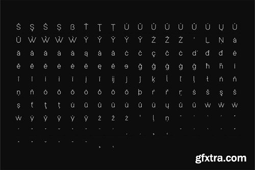 Birken Nue - A Minimal Sans-Serif Font Family FZ2HUBR