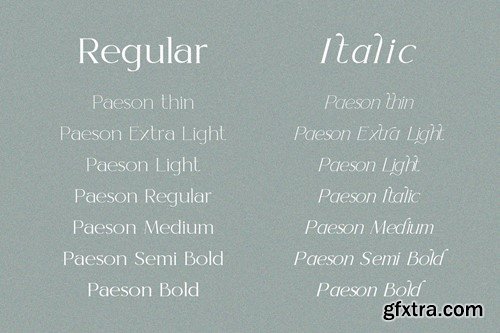 Paseon Simple & stylish serif font family U7Y83SM