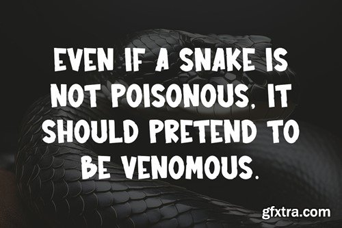 Kolkme Alltoss Display Font X2KC38B