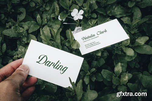 Fisterya Elegant Handwritten Font 3U4FX4L