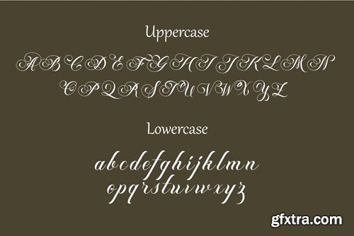 Blinka Bold Script Cursive Serif Luxury Font Duo BBMGZV3