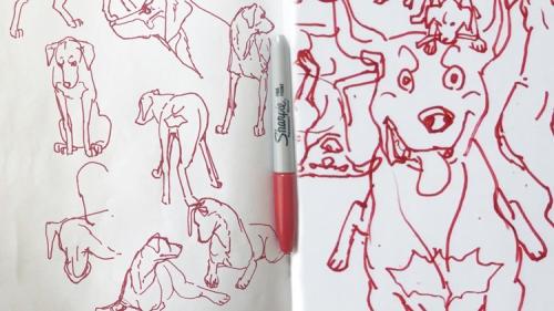 Udemy - Draw Dogs With or Without Reference