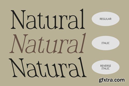 Sheila – Classic Font OTF TTF GKK5FXN