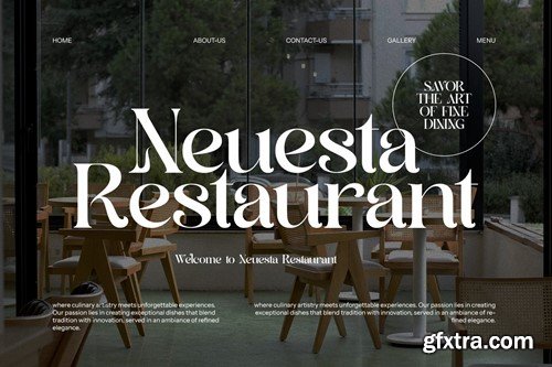 Agnifa - Elegant Serif Font S74TDCU