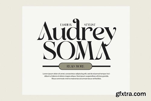 Agnifa - Elegant Serif Font S74TDCU