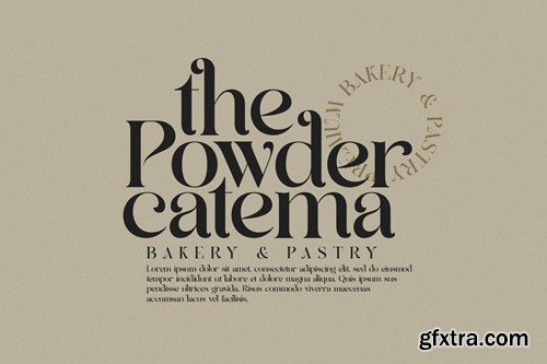 Agnifa - Elegant Serif Font S74TDCU