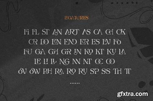 Kroves - Elegant Serif Font FN4FEKM