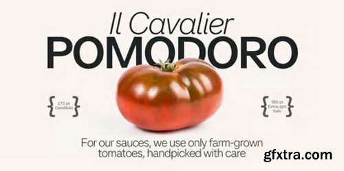 SFT Ritam Sans Font Family SFT Ritam Sans Font Family