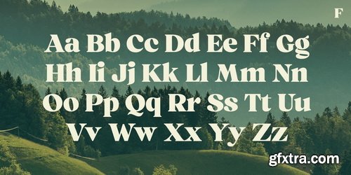 Myfonts - Ashford Font Family