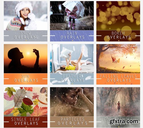 PhotoWhoa - The Golden Collection Bundle With 1500 Add-ons PhotoWhoa - The Golden Collection Bundle With 1500 Add-ons