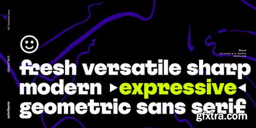 Myfonts - SFT Schrifted Sans Font Family Myfonts - SFT Schrifted Sans Font Family
