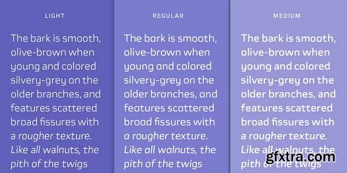 Myfonts - Nogal Font Family