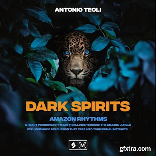 Montage by Splice Dark Spirits: Amazon Rhythms
