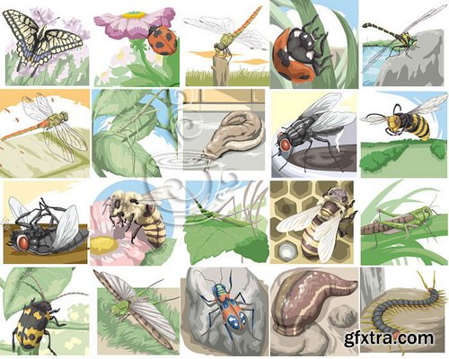 KyowaSoft CutPRO 03 Animals REAL Touch