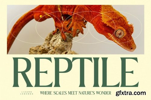 Myfonts - Benfica Royale Font Family Myfonts - Benfica Royale Font Family