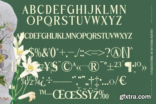 Myfonts - Benfica Royale Font Family Myfonts - Benfica Royale Font Family