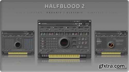Insanity Samples HALFBLOOD 2 v1.5.0